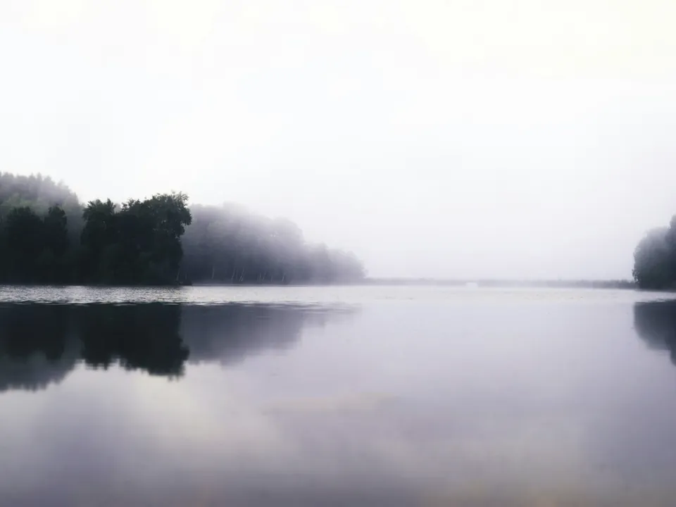 Les rêves